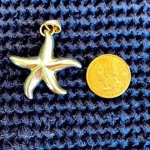 Sterling silver starfish pendant.